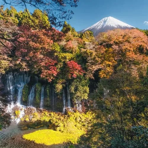 แพลนเที่ยวเมืองภูเขาฟูจิ Fujinomiya 3 วัน 2 คืน